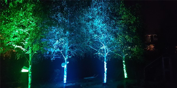 uplighter21 uplighter21